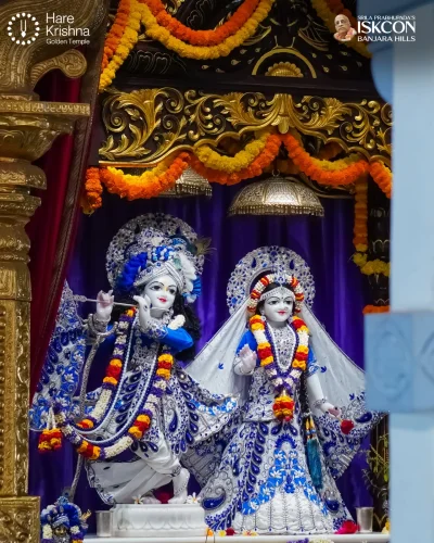 WhatsApp Image 2026-10-26 at 9.47.21 AM (1)