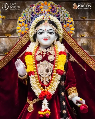 WhatsApp Image 2026-10-27 at 10.20.29 AM (1)