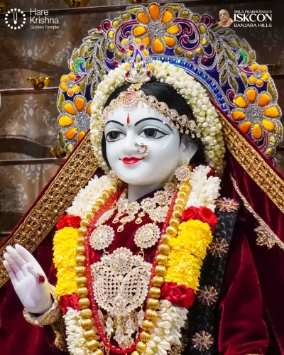 WhatsApp Image 2026-10-27 at 10.20.30 AM (1)