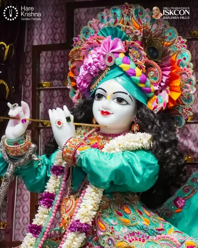WhatsApp Image 2026-10-30 at 10.24.59 AM