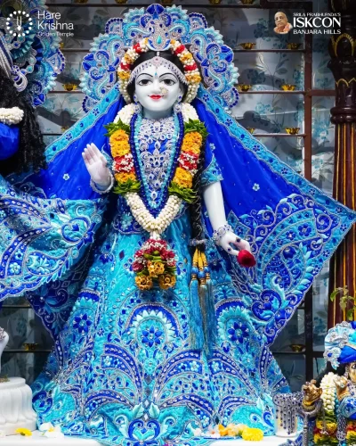 WhatsApp Image 2026-10-31 at 11.20.25 AM (1)