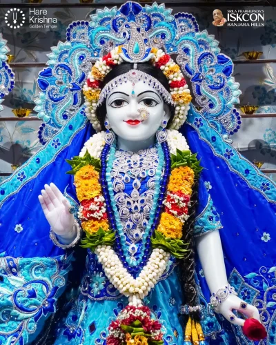 WhatsApp Image 2026-10-31 at 11.20.25 AM (2)