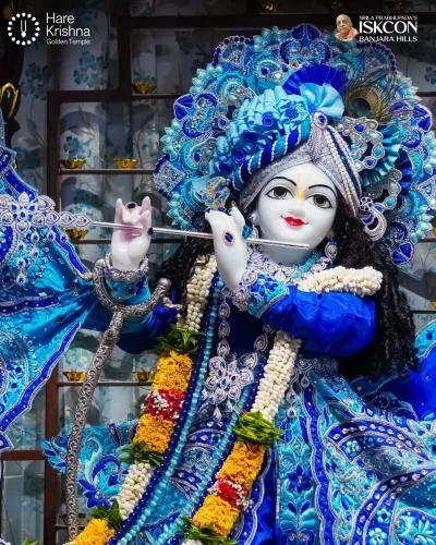 WhatsApp Image 2026-10-31 at 11.20.26 AM (1)
