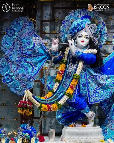 WhatsApp Image 2026-10-31 at 11.20.26 AM