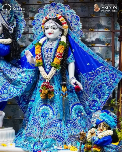 WhatsApp Image 2026-10-31 at 11.20.26 AM (2)
