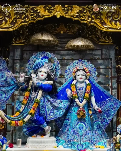 WhatsApp Image 2026-10-31 at 11.20.25 AM