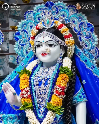 WhatsApp Image 2026-10-31 at 11.20.27 AM (1)