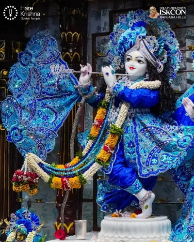 WhatsApp Image 2026-10-31 at 11.20.27 AM