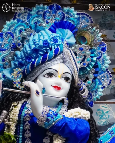 WhatsApp Image 2026-10-31 at 11.20.28 AM (1)