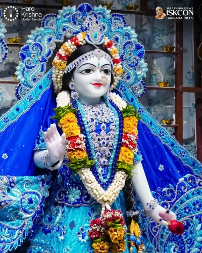 WhatsApp Image 2026-10-31 at 11.20.28 AM