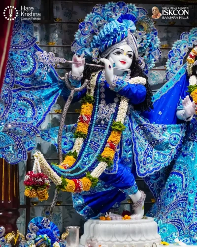 WhatsApp Image 2026-10-31 at 11.20.29 AM (1)