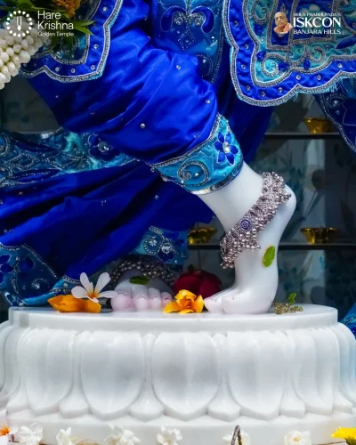 WhatsApp Image 2026-10-31 at 11.20.29 AM (2)