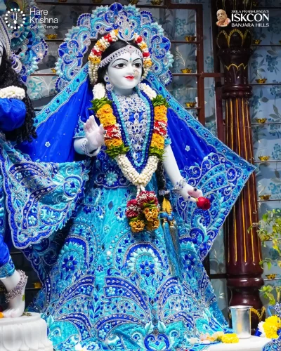 WhatsApp Image 2026-10-31 at 11.20.29 AM