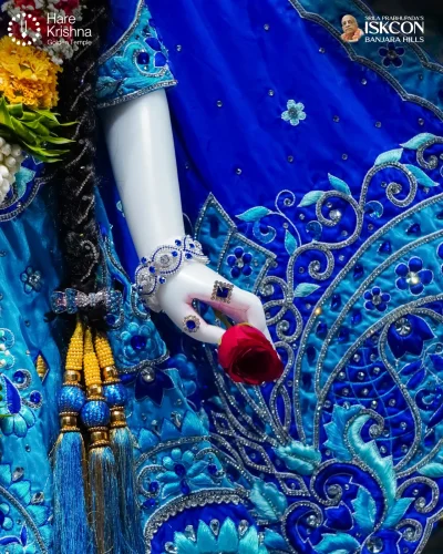 WhatsApp Image 2026-10-31 at 11.20.30 AM