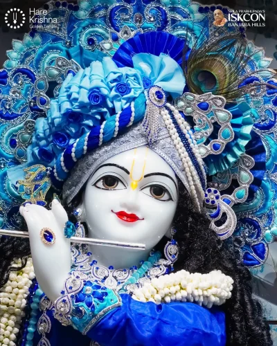WhatsApp Image 2026-10-31 at 11.20.31 AM (1)