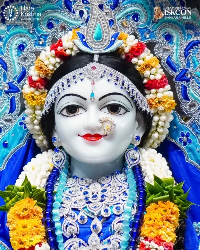 WhatsApp Image 2026-10-31 at 11.20.31 AM