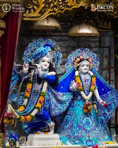 WhatsApp Image 2026-10-31 at 11.20.32 AM (2)