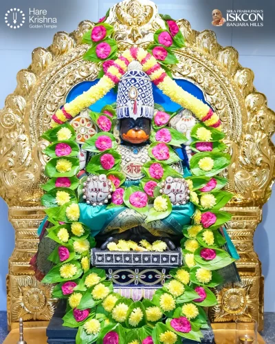 WhatsApp Image 2026-10-31 at 11.20.36 AM (2)