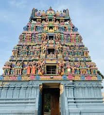 Adi Narayana Perumal Temple (Mirugasesam Star)