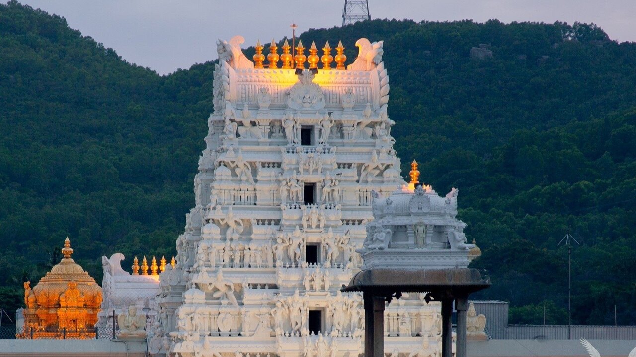 Sri Srinivasa Divyanugraha Visesha Homam