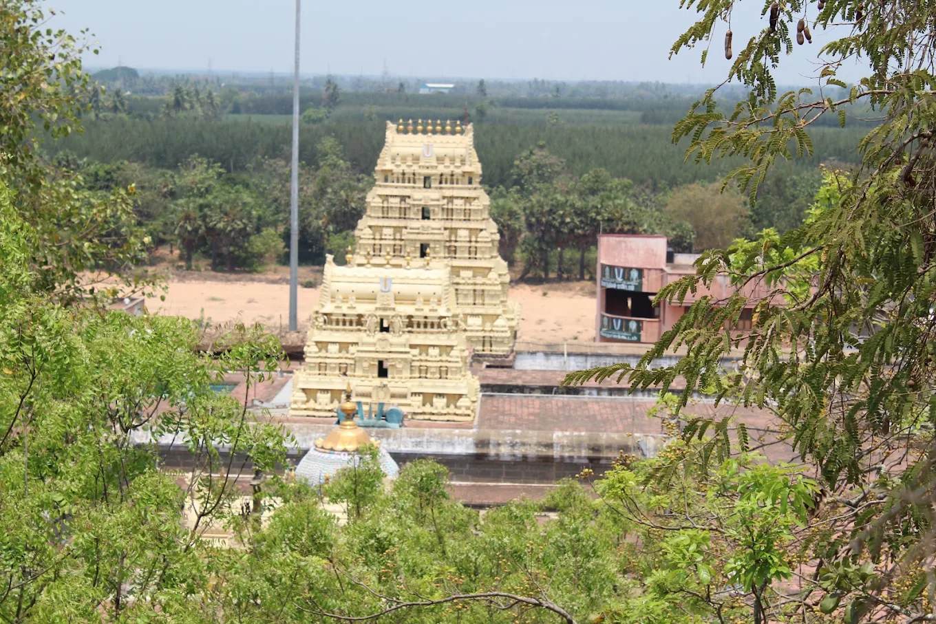Sri Devanatha Perumal Temple , Thiruvaheendrapuram (Cuddalore)